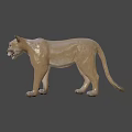 Standing Puma 3D Render With Light Brown Fur On Dark Background 3d model