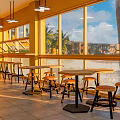 Bee Coffee Café Interior With Yellow Wall Honeycomb Pattern Marble Countertop And Beeco Logo