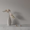 Bonsai Potted Plant With Light Colored Orchids In White Vase On Marble Countertop And Walnuts