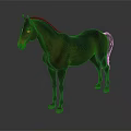 Brown Horse Standing On Gray Background With Black Mane And Tail 3d model