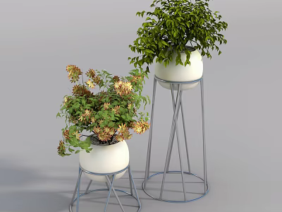 Decorative Potted Plants In White Pots With Metal Stands Green Leaves And Yellow Flowers 3d model