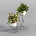 Decorative Potted Plants In White Pots With Metal Stands Green Leaves And Yellow Flowers