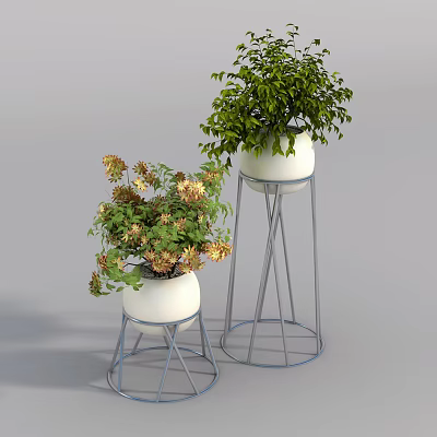 Decorative Potted Plants In White Pots With Metal Stands Green Leaves And Yellow Flowers 3d model