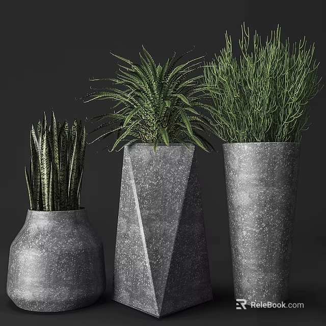 Garden Decor Featuring Various Shaped Textured Gray Pots With Assorted Green Plants 3d model 