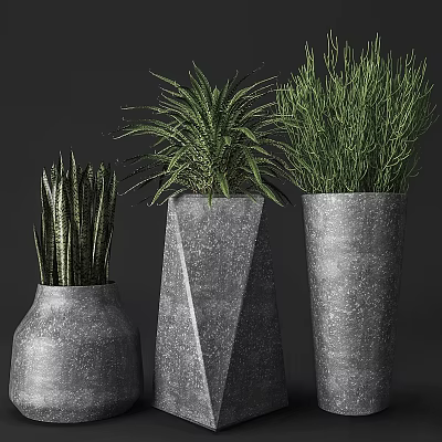 Garden Decor Featuring Various Shaped Textured Gray Pots With Assorted Green Plants 3d model