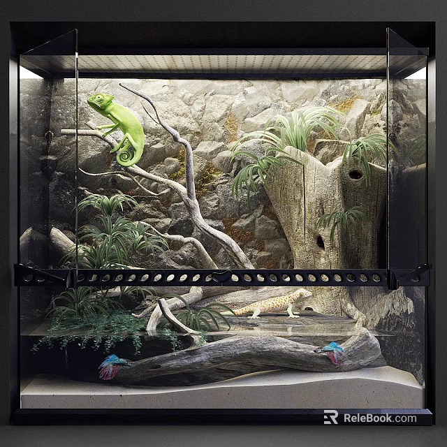 Eco Friendly Aquarium Terrarium Setup With Green Chameleon Branches Plants Rocks And Water 3d model 