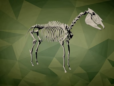 Artistic Animal Skeleton Display With Detailed Structure On Green Geometric Background 3d model