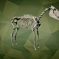 Artistic Animal Skeleton Display With Detailed Structure On Green Geometric Background