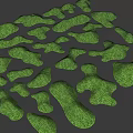 Decorative Green Irregular Grassy Shapes Scattered On Gray Background Surface 3d model