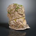 Natural Wood Stone with Moss Covered Rough Surface and Natural Rock Texture