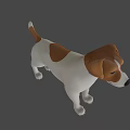 3D Rendered Jack Russell Terrier Dog With White And Brown Coat Standing Pose