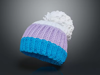 Colorful Knitted Winter Hat With Purple White Blue Sections And White Pom Pom 3d model
