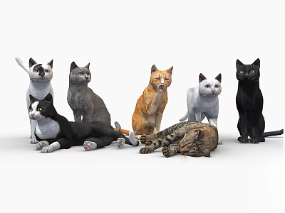 Modern Cat Pet Cat 3d model