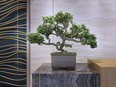 Lush Green Bonsai Plant With Curved Branches In Gray Stone Pot On Decorative Marble Stand 3d model