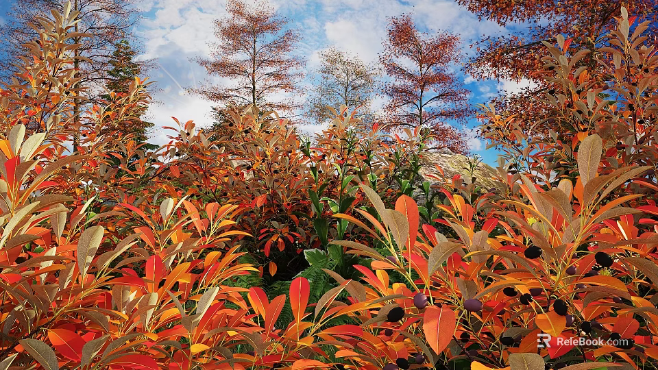 Lush Shrubs Featuring Vibrant Orange Red and Green Leaves in Outdoor Garden Under Blue Sky 3d model 