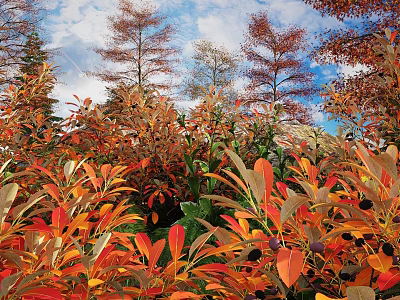 Lush Shrubs Featuring Vibrant Orange Red and Green Leaves in Outdoor Garden Under Blue Sky 3d model