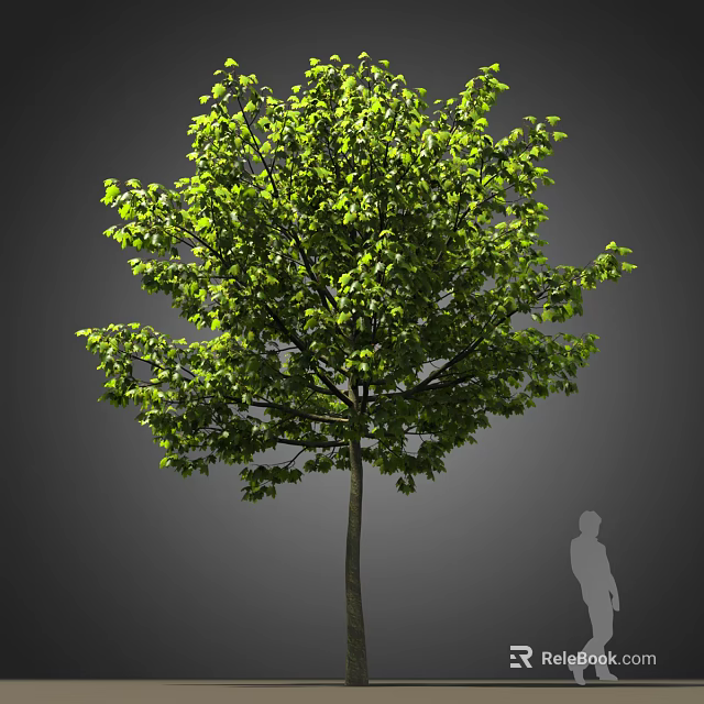 Tall Arbor With Lush Green Foliage And Human Silhouette For Size Reference 3d model 