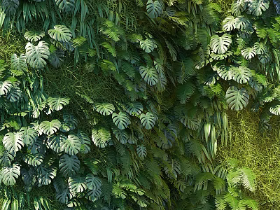 Living Plant Wall With Lush Green Foliage And Diverse Indoor Plant Design 3d model