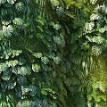 Living Plant Wall With Lush Green Foliage And Diverse Indoor Plant Design