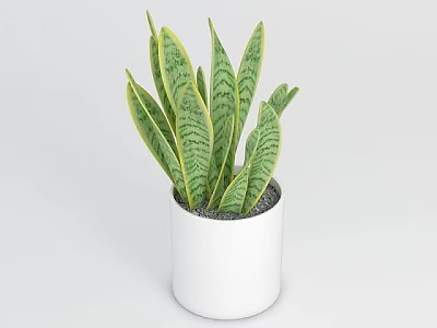 Tech Exhibition Hall Interior Featuring Green Plants In White Pot With Striped Leaves 3d model