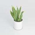 Tech Exhibition Hall Interior Featuring Green Plants In White Pot With Striped Leaves