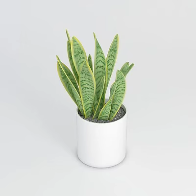 Tech Exhibition Hall Interior Featuring Green Plants In White Pot With Striped Leaves 3d model