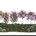 Colorful Flowering Trees With Various Blooms On Green Grassland And Low Plants