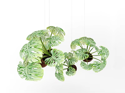 Green Hanging Monstera Leaves as Decorative Indoor Tropical Foliage Plants 3d model