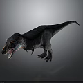 Realistic Tyrannosaurus Rex 3D Model With Open Mouth Colorful Head Texture And Dark Body