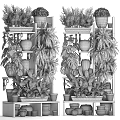 Decorative Potted Plants Display On Multi Tiered Shelves With Various Green Foliage And Clay Pots