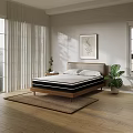 Double Bed with Wooden Headboard in Bright Room Natural Light Potted Plant and Wall Art
