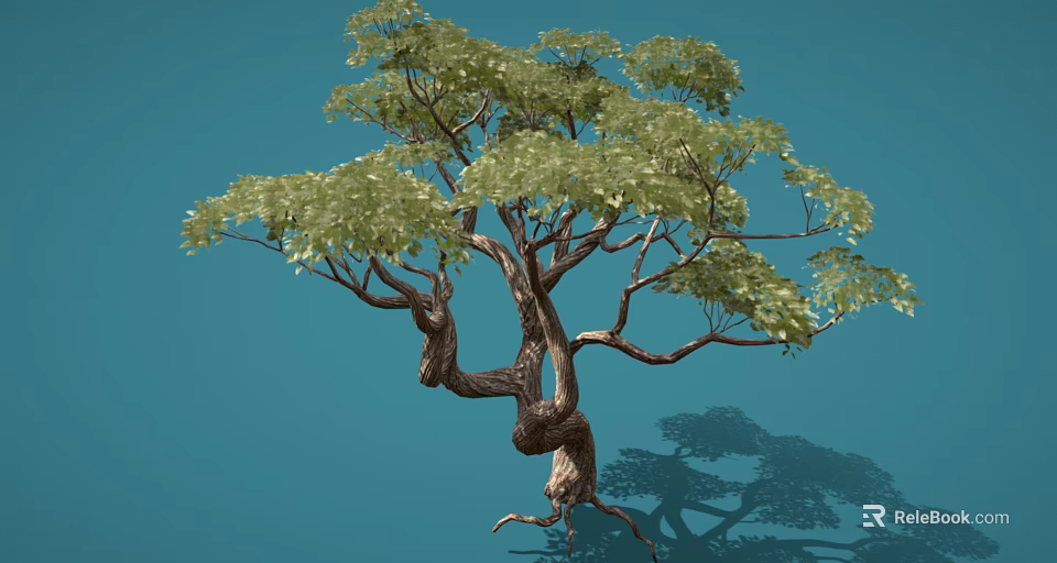Graceful Tree With Twisted Trunk And Lush Green Leaves On Blue Background 3d model 