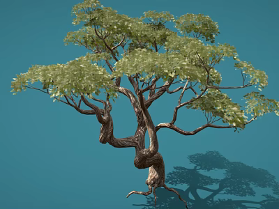 Graceful Tree With Twisted Trunk And Lush Green Leaves On Blue Background 3d model