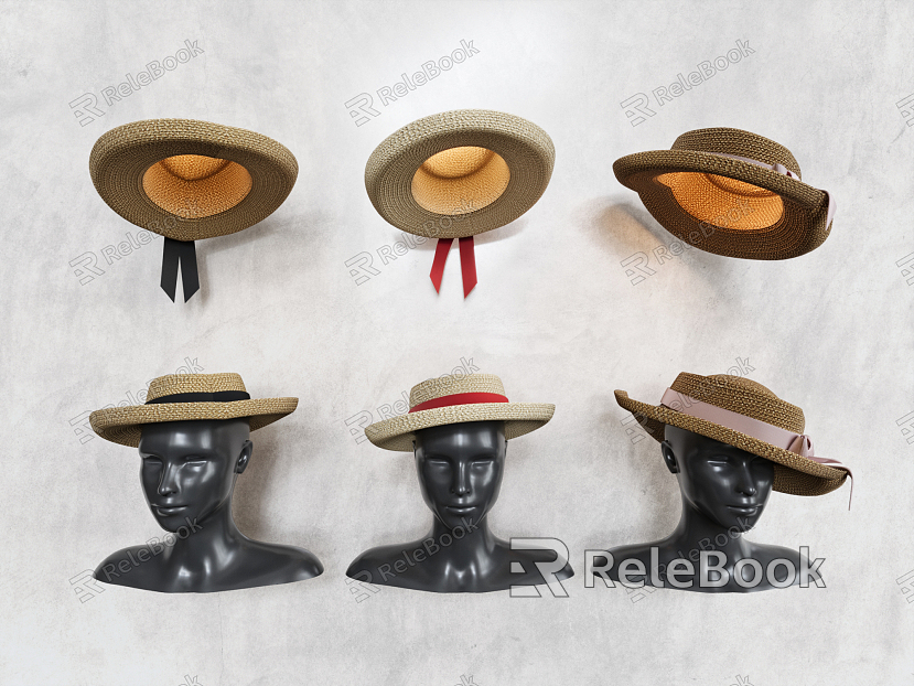 Modern Hat Straw Hat model