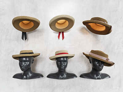 Modern Hat Straw Hat 3d model