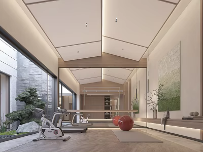 Modern Home Gym Interior With Fitness Equipment And Natural Light 3d model