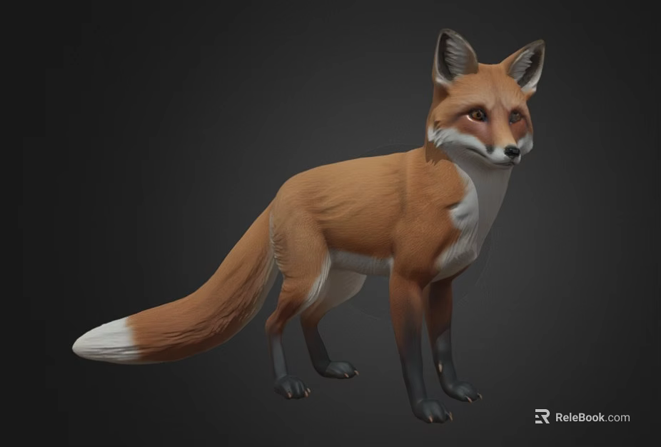 Red Fox With Orange Red Fur White Underbelly And Fluffy Tail Standing Against Dark Background 3d model 
