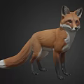 Red Fox With Orange Red Fur White Underbelly And Fluffy Tail Standing Against Dark Background