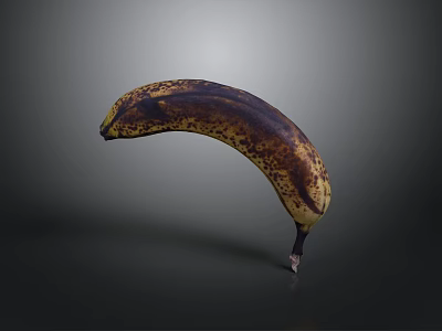 Close Up Image Of Overripe Banana With Brown Spots On Gray Background 3d model