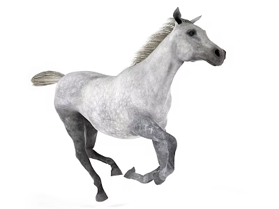 White Horse Running Dynamically With Flowing Mane And Strong Muscular Body 3d model