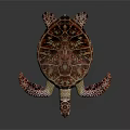 Vibrant Sea Turtle Showcasing Colorful Shell Patterned Flippers And Texture 3d model