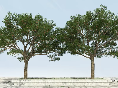 Two Tall Green Leafy Trees With Fruits And Brown Trunks In Outdoor Scene 3d model