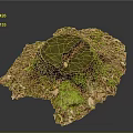 Natural Wooden Stump With Green Moss And Fallen Leaves In Forest Ground
