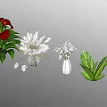 Various Decorative Flowers in Clear Vases with Red White Blooms and Green Foliage