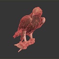 Modern eagle bird bird bird 3d model