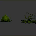 Decorative Green Plant Models With Lotus Shaped Leaves And Curly Vines