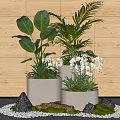 Lush Bonsai Potted Plants With Large Green Leaves White Orchids White Pots And Wooden Wall