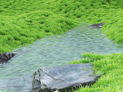 Tranquil Natural Landscape With Lush Green Grass Clear Stream And Smooth Stones 3d model