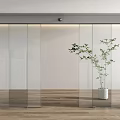 Modern Automatic Glass Door Design With Indoor Plant And Wooden Floor Interior