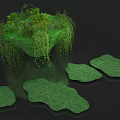 Green Floral Installation With Suspended Island Hanging Vines And Leaf Shaped Platforms